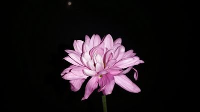 ‏علاقات جاده
