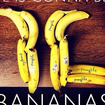 SilvertonYL's profile picture. YL Clubs are mondays at 7:29!! Starting in school year (dates-TBA!)