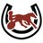 StartingGaits's profile image