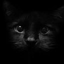 Victor Andre (@00Cerocero00) Twitter