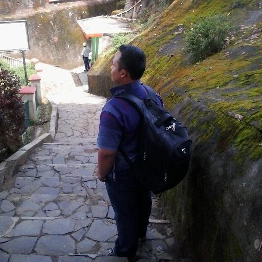 syaifulsimamora's profile picture. 