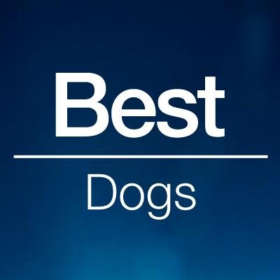 A community of individuals with the last name Best