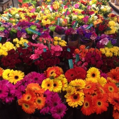 snexas2's profile picture. 