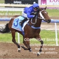 Les Tilley  (@ljtilley94) 's Twitter Profile