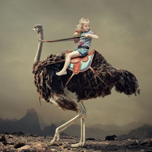 yanzjiu's profile picture. 