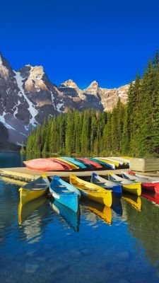 hssn1989's profile picture. 本に満たされた生活がしたい