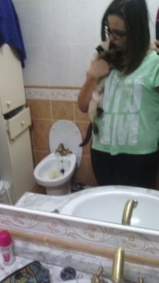 de nemo aprendi k el k te kiere t busca