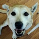 Nathan Neufeld - @nneufeld56 - Twitter