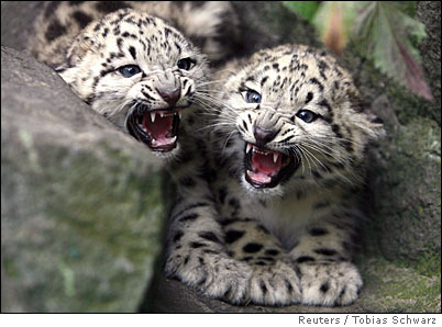 superdelegates's profile picture. Hello. I am a superdelegate tracker for the 2008 Democratic primary. Info is pulled from http://t.co/N4oW9kMgDD. Comments to my creator, steve@saturn5.com