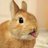 Bawny_Hawny's profile image