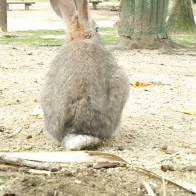 なおし