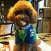 Oldcat5110 (@hongdechen313) Twitter profile photo