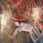 aliceinstone's profile image