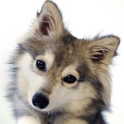 UVERcrewを経てクソキッズオブザイヤー一位に躍り出ましたりょうすけです。04LS/おーらる/テンフィ/ろっとん/うーばー