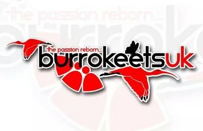 BurrokeetsUK's profile picture. Burrokeets Uk Twitter contact us for info and details of all our events!