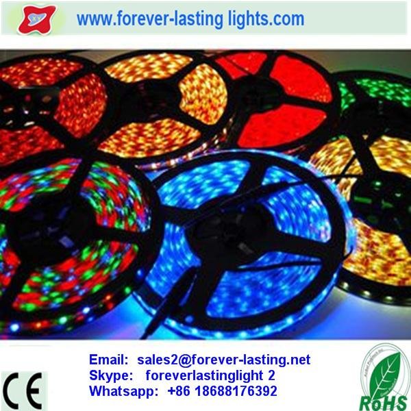 This is jelena who from Shenzhen Forever-lasting lights Co.,Ltd. I work with LED strip light , LED tube ,led panel light , led ceiling light ....