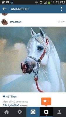 احبه دام قلبي ينبض وأعشق تفاصيله