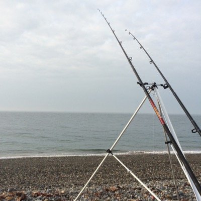 seafishing21's profile picture. searchig for that fish of a life time