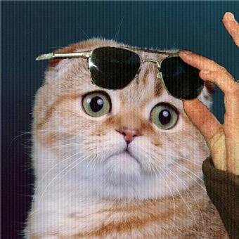 alejandropentak's profile picture. Vendedor de sombreros y boinas en ratos libres 5,50 sombrero para tu ornitorrinco//Anime como fumada//jugador lol:SyiiLaR gold 1  main top