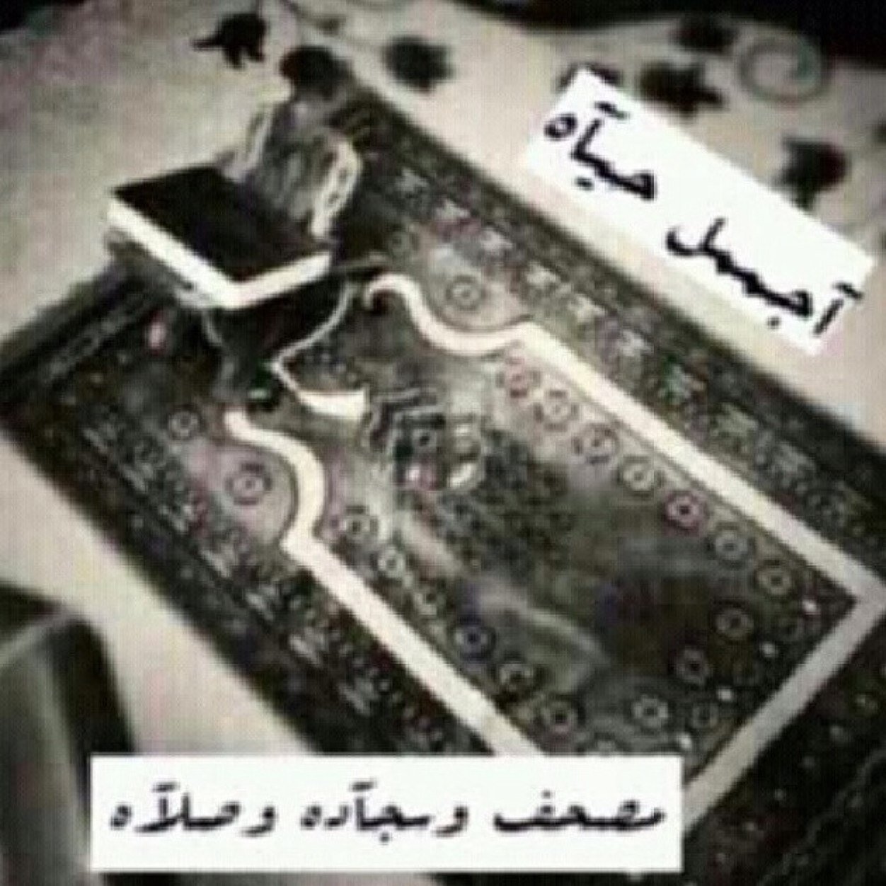 فتــاة مــيزني ربي فــي كل تفاصيلي،،، طموحة جـــداً