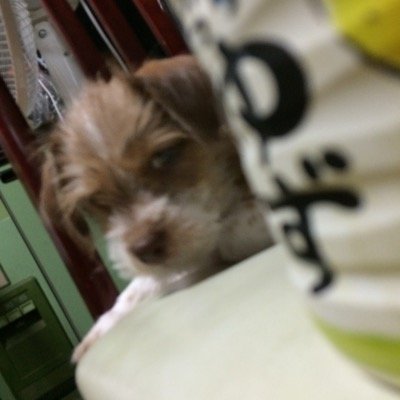 Helo〜☆ 球磨工業高校1年生でありやす！w
Music大好きです！wフォローしてね☆