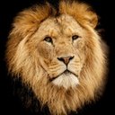 Mark Chatfield - @d7b6cf99cbb54a8 - Twitter