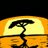 marcusohgee's profile image