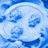 MappingSlavery's profile image