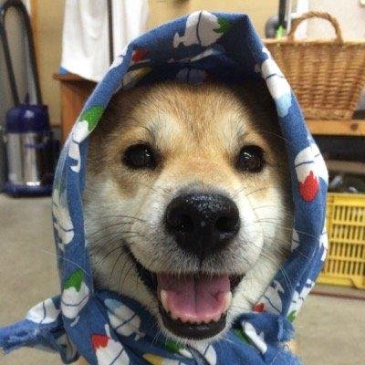 水至不去，抱柱而死。