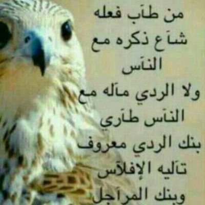 lmsat725's profile picture. 