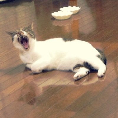 SHS119/立教