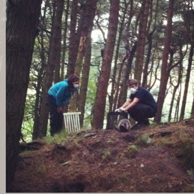 busybergenbee's profile picture. Bsc Countryside management and Outdoor recreation (Naturforvaltning og Friluftsliv) living in Norway. Instagram- karenpaatur