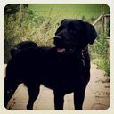 Marti López Guillén - @mavilogui - Twitter