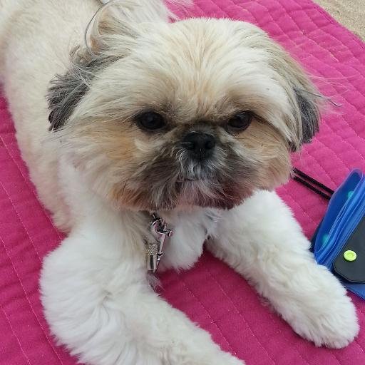 amt2081's profile picture. 