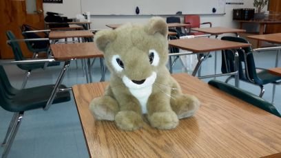 MMULeoClub's profile picture. 