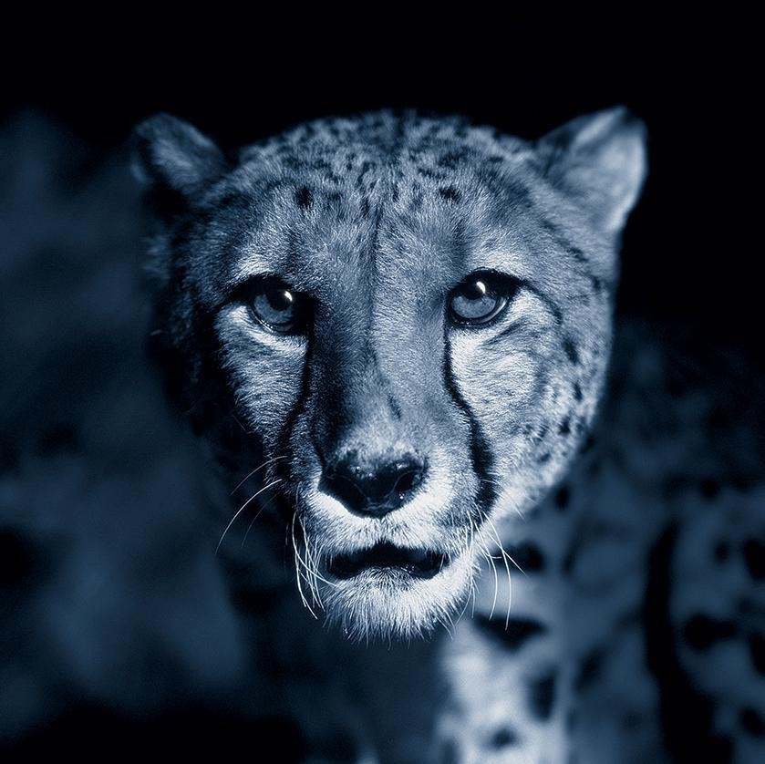 ShuttleworthMIS's profile picture. Shuttleworth Business Systems is one of the world's leading suppliers of Management Information Systems to the printing industry.