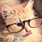 Oliviazarzafox1's profile picture. 