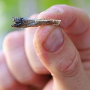 #VerdeyNatural // No hacemos apología, solo exigimos #Legalización!