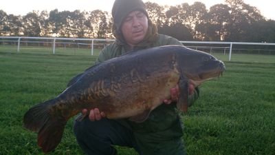 PeteYoung828's profile picture. 