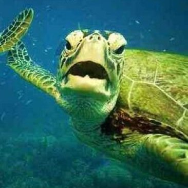 waaa_naaa's profile picture. 色々と成長したいので（ダサすぎるので）色々と変えていきます 悪気は無いので悪しからず #恋と仕事