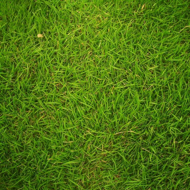 EliteLawnzzz's profile picture. provider of AstroTurf and artificial grass in Kent and the surrounding areas.