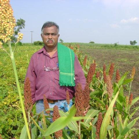 Natural Farming in Indigenous/Local Seeds 4 furtile land, #SaveEnvironment & Biodiversity
President #Karnataka Krishik Sangh (KKS) #PeasantsOrganisation India.