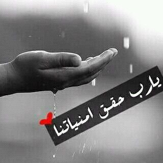 ‏‏ﻋﺑثت بالحب ﻓضولا وليتني لم أفعل *'