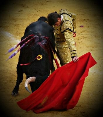Cuenta oficial del novillero con caballos Ricardo Maldonado.
