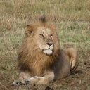 Caroline Roos - @rooschristo18 - Twitter