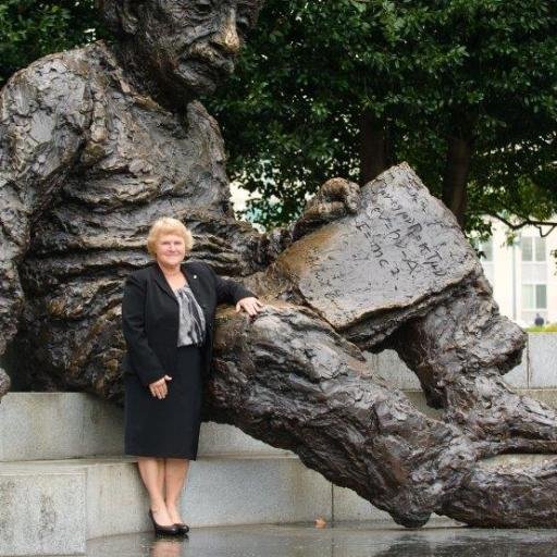 Albert Einstein Distinguished Educator, 13-15