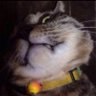zksydsyh's profile picture. 