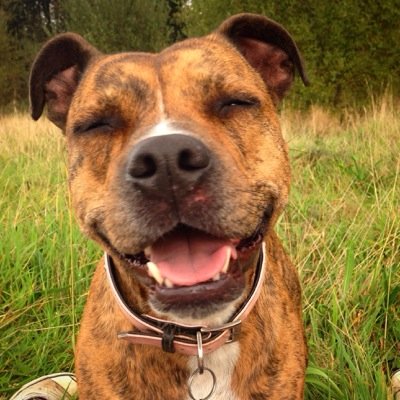 KStaffy Profile Picture