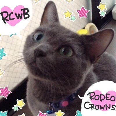 ＼めぐみ／さんのプロフィール画像