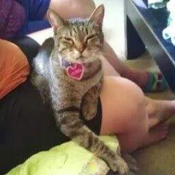 deniserstrong's profile picture. 